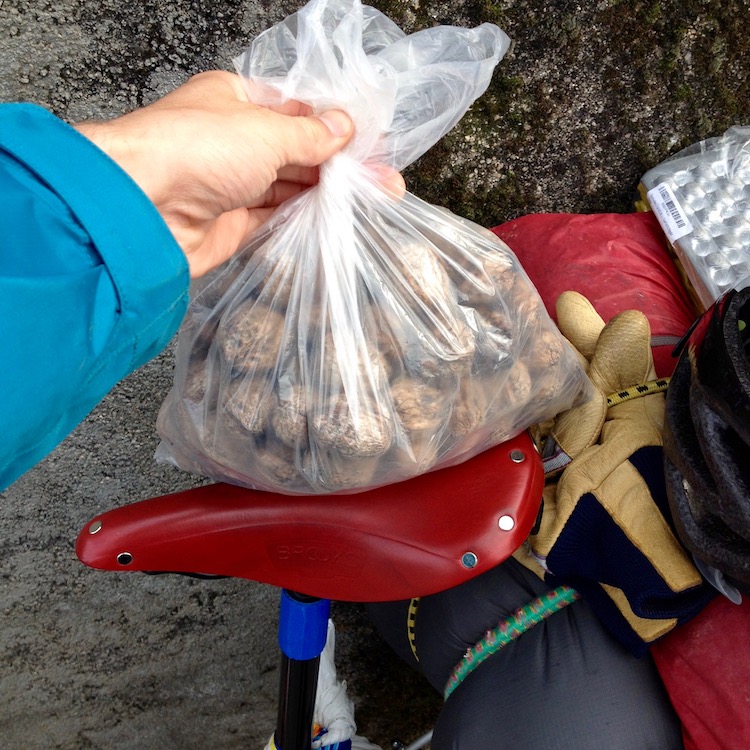 A large bag of walnuts, being held above Dans bike seat to show its size - it is a little bit larger than the seat
