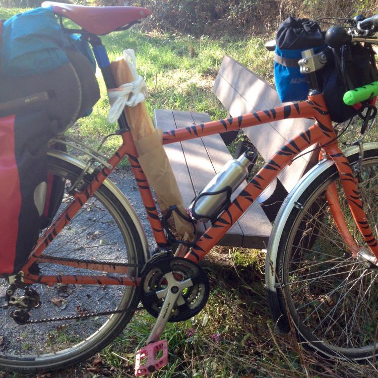 A baguette sitting in the bottle cage of my bike, and strapped to the seat post at the top