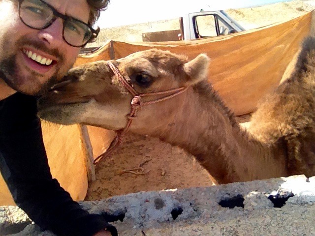 Dan trying to take a selfie with a camel. The camel is ignoring the camera and trying to sniff/lick Dan's neck.