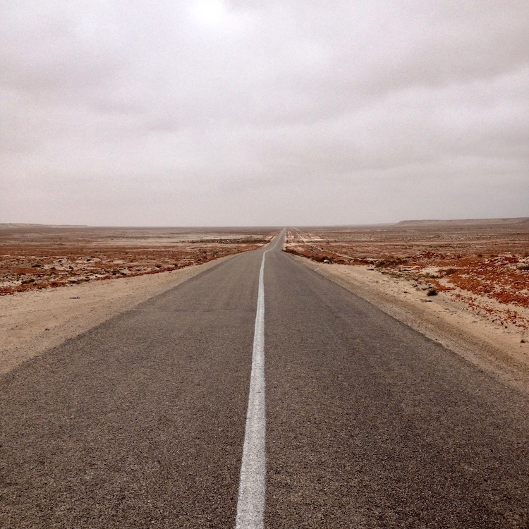Huge, flat and empty landscape, with a road stretching from the foreground off into the distance. All the ground (except the road) is covered with small red plants.