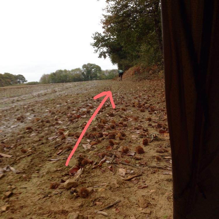 A covert photo out of my tent of a farmer who snuck up on me while I was wild-camping
